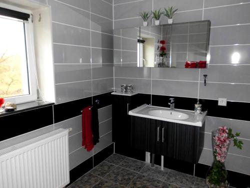 a bathroom with a sink and a mirror at Ferienwohnung II Krenzower Mühle keine Monteurwohnung in Rubkow