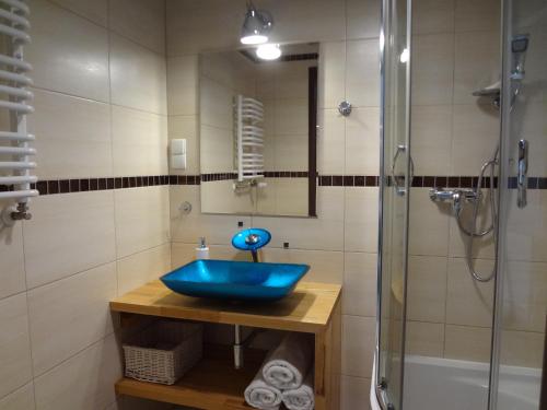 W łazience znajduje się niebieska umywalka i prysznic. w obiekcie Holiday Hill Apartamenty Pogodny w mieście Karpacz
