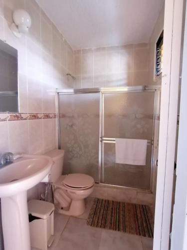 a bathroom with a shower and a toilet and a sink at Las colinas de Samaná in Santa Bárbara de Samaná