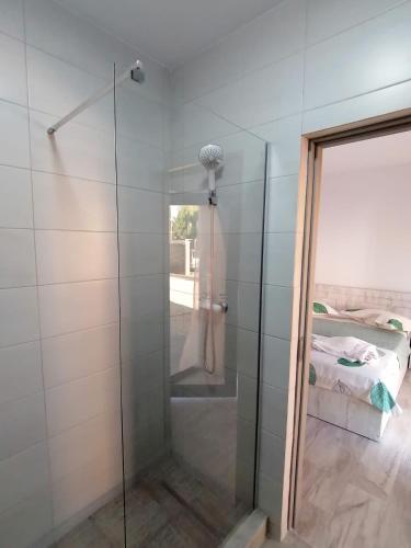 a shower with a glass door in a bathroom at Casutele Amaliei in Corbu