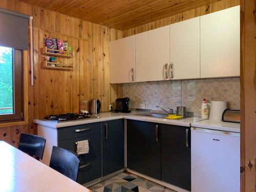 a kitchen with white cabinets and a counter top at Ada bieszczady in Baligród