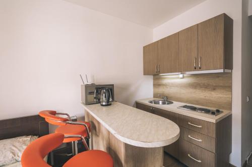 Η κουζίνα ή μικρή κουζίνα στο Gudauri Palace apartments in New Gudauri