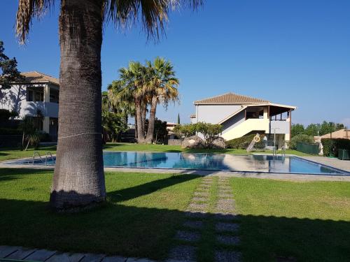 a palm tree and a house with a swimming pool at Asteraki ApartHotel in Gouvia