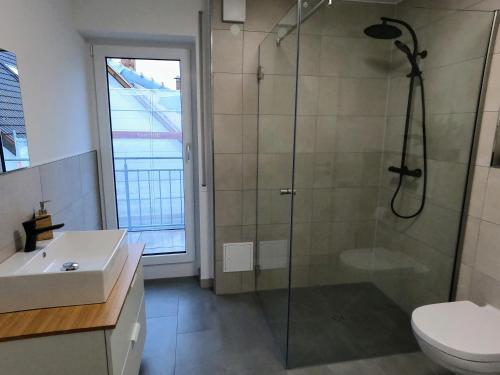 a bathroom with a shower and a toilet and a sink at Neubau 2-Zimmerwohnung in Hochdorf in Hochdorf
