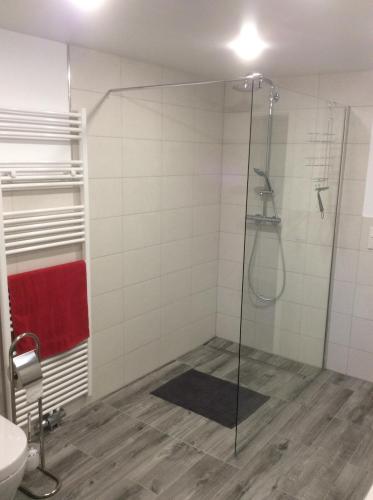 W łazience znajduje się prysznic ze szklanymi drzwiami. w obiekcie Ferienwohnung Nachtweide w mieście Wadgassen
