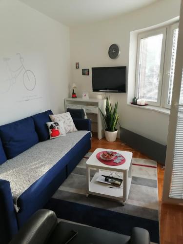 TV a/nebo společenská místnost v ubytování ANKA apartman