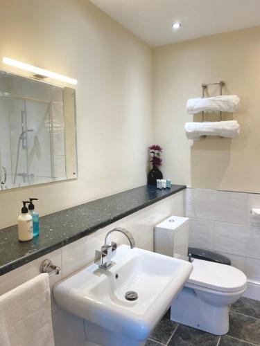 a white bathroom with a sink and a toilet at Woodhouse Farm Lodge in Spalding