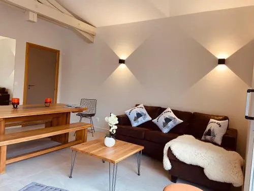 Chalet Pleine Vue & Spa photo 40