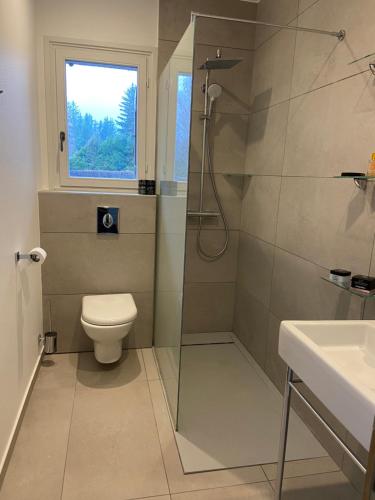 a bathroom with a shower and a toilet and a sink at Chalet Pleine Vue & Spa in Chamonix-Mont-Blanc