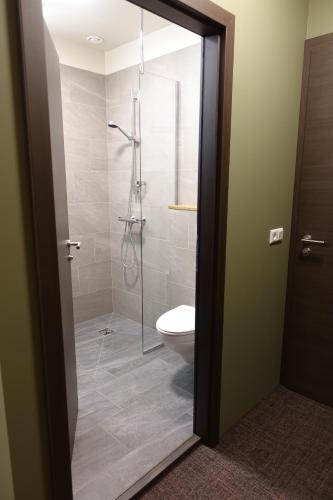 ein Bad mit einer Glasdusche und einem WC in der Unterkunft Basalt Hotel in Borgarnes