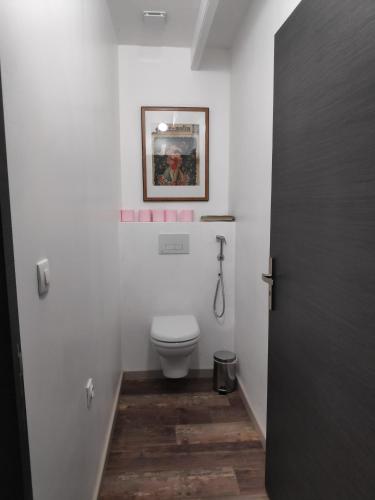 a bathroom with a toilet and a picture on the wall at La Grange de Dourlers in Dourlers