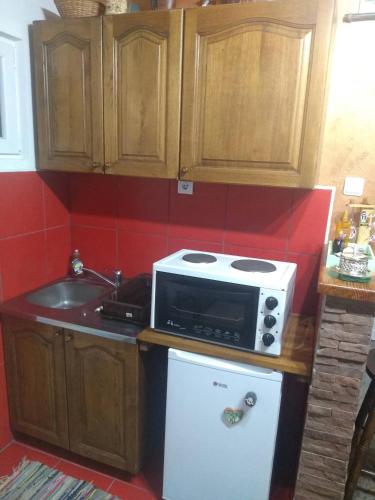 a kitchen with a microwave on top of a refrigerator at Vikendica Raković in Zlatibor