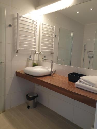 a bathroom with a sink and a mirror at Apartament Czarna Góra Faktura VAT in Sienna