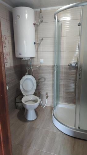 a bathroom with a toilet and a shower at Приватна садиба "Гереджука" in Vorokhta