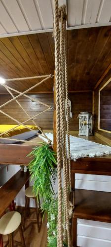 Cette chambre comprend 2 lits superposés avec des cordes. dans l'établissement Garden, à Satu Mare