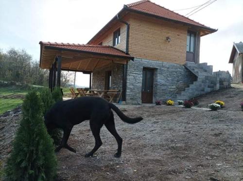 a black dog walking in front of a house at Etno kuća Ostrvica in Varnice
