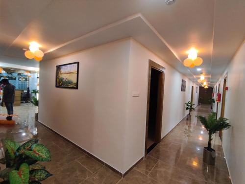 a hallway of a building with plants and lights at Hotel Newyork Inn in Anand