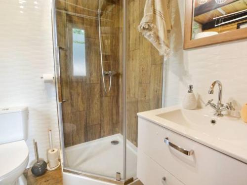 a bathroom with a shower and a toilet and a sink at Bieszczadzka Chatka in Smerek