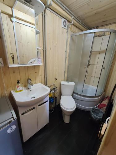 a bathroom with a toilet and a sink and a shower at Дзен Хата in Dzembronia