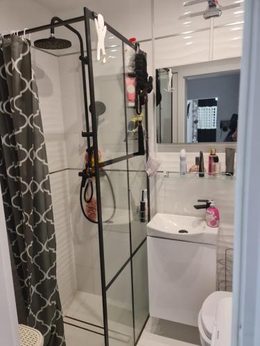 Kúpeľňa v ubytovaní Apartament przy Kopalni Złota