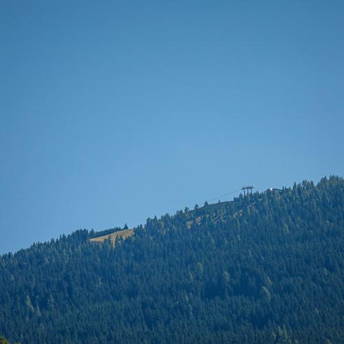 a hillside filled with lots of green trees at Siegi's Apartments in Hof