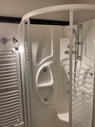 une salle de bain avec douche et lavabo dans l'établissement Appartement 2 pièces pieds des pistes terrasse face à la montagne, à Bernex