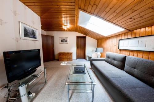 a living room with a couch and a tv at Apartments Haus Martin in Bayerisch Eisenstein