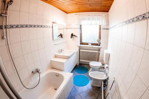 a bathroom with a tub and a sink and a toilet at Apartments Haus Martin in Bayerisch Eisenstein