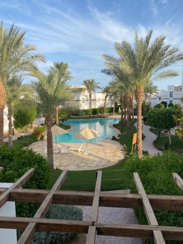 The swimming pool at or close to Sunterra