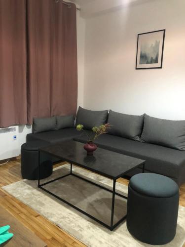 a living room with a couch and a table at Apartman Kraljevi čardaci Makica Kopaonik sa garazom in Kopaonik