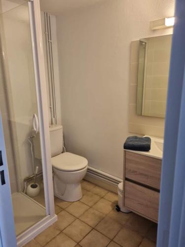 une salle de bain avec toilettes, lavabo et miroir dans l'établissement Agréable petite maison de vacances, à Port-Leucate