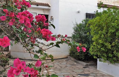 a bunch of pink flowers in front of a house at Villa Aquamarina 600 m vom Meer, Casa in Miami Platja, Ferienhaus mit Garten, WLAN, Garage, Terrasse, Grill in Miami Platja