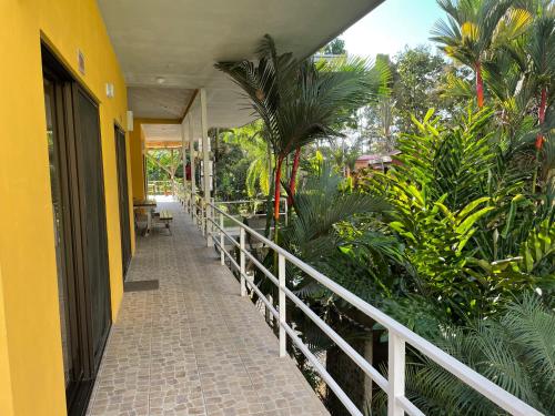a hallway of a building with trees and plants at Hotel LUZ de LUNA Bahía Ballena in Uvita