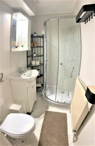 a bathroom with a shower and a toilet and a sink at Cosy Apart Busteni in Buşteni