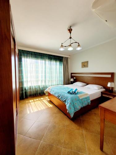 a bedroom with a large bed with a blue blanket at Oasis marsa alam in Marsa Alam City