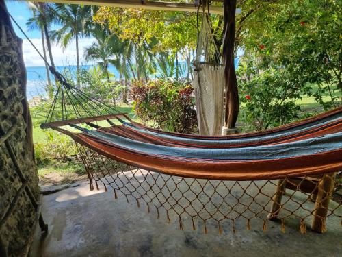 a hammock hanging from a tree next to the ocean at The Jaguars Jungle Rainforest Lodge - All meals included in San Pedrillo