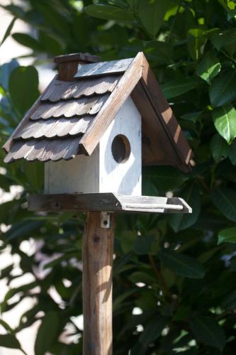 a wooden bird house sitting on top of a tree at Aloha Apartments with pool in Skopje