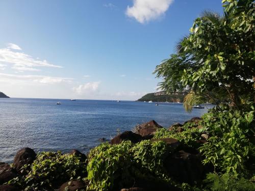 a view of a large body of water with trees at Appartement avec vue sur mer in Bouillante