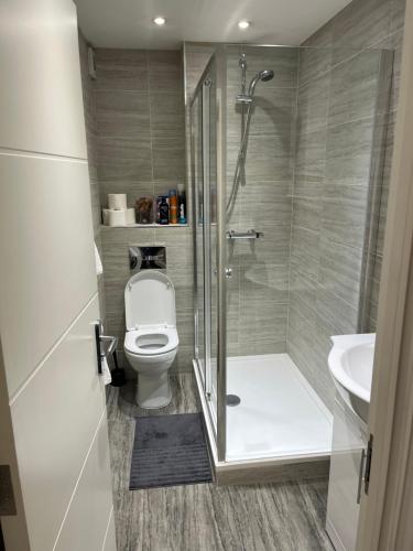 a bathroom with a shower and a toilet and a sink at Stunning Studio in London