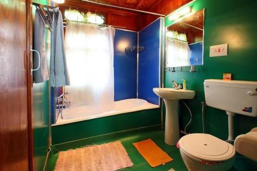 シュリーナガルにあるHouseboat Lily of Nageenのトイレ、シャワー、洗面台を備えたバスルーム
