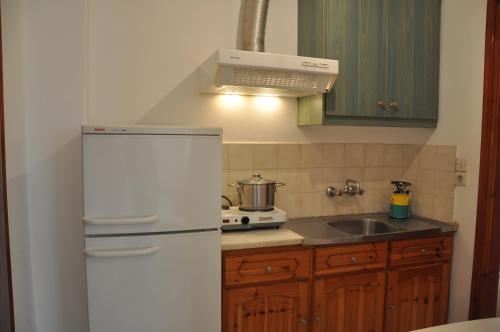 a kitchen with a white refrigerator and a sink at Giannis Studios in Nikiana