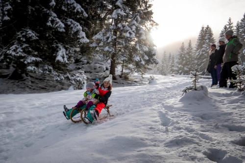 two children on a sled in the snow at Panorama Apartment Bauernhof Mandl in Murau