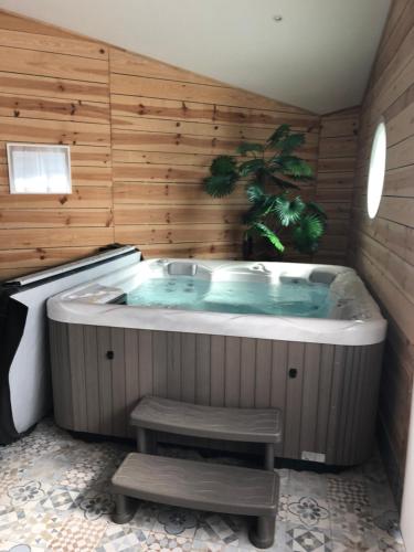 uma banheira de hidromassagem num quarto com uma planta em L'hostellerie de Sèvremont em Saint-Michel-Mont-Mercure