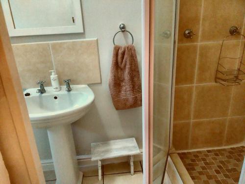 un bagno con lavandino e doccia di Antique Silk Self Catering Unit a Grahamstown