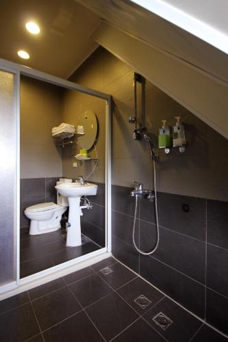 a bathroom with a toilet and a sink and a shower at Pulicity Villa B&B in Puli