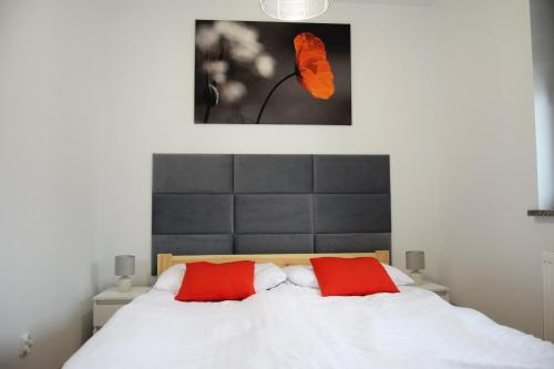 a bedroom with a bed with two red pillows at Apartamenty Wakacyjne Historie in Międzylesie