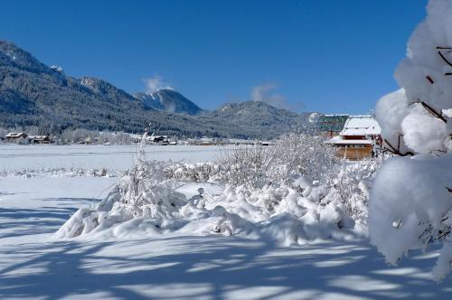 a snow covered field with a house in the background at Seehotel Enzian in Weissensee