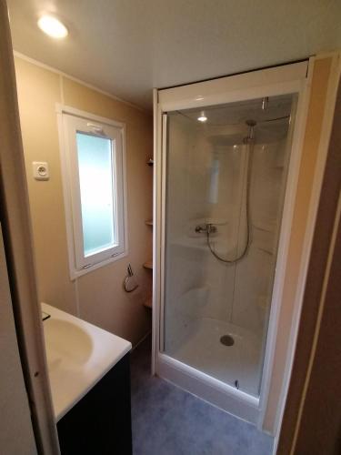 une salle de bain avec douche et lavabo dans l'établissement Le Moulin du Pont D'Aliès, à Axat