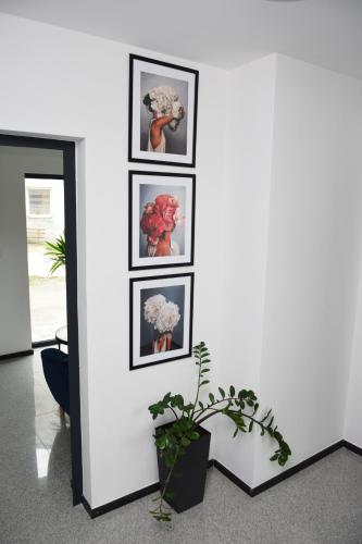 a wall with four framed pictures of flowers at Apartamenty Wakacyjne Historie in Międzylesie