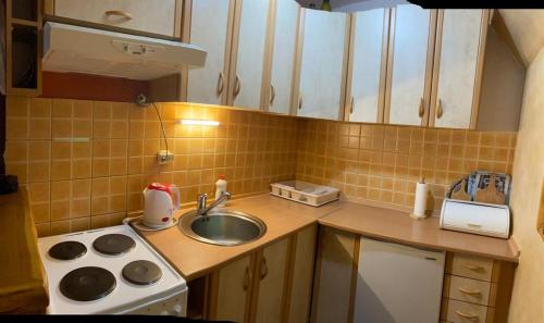 a small kitchen with a sink and a stove at Apartmani Marija in Jahorina